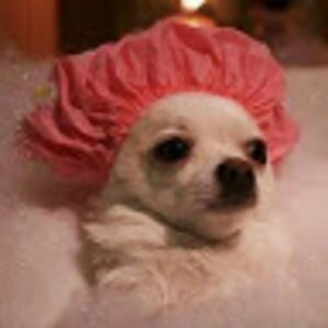 Meet your Posher, Cristian